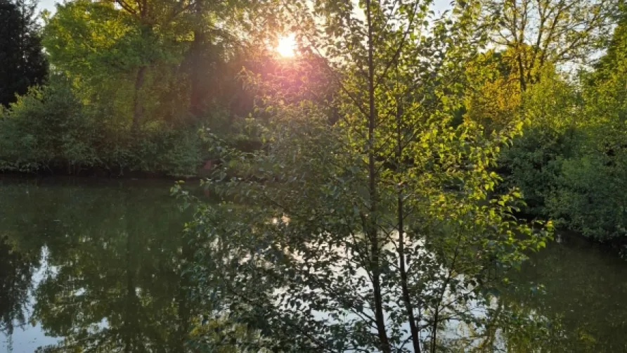 Camping Dörpen