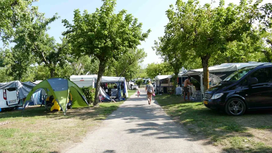 Camping Park Delle Rose