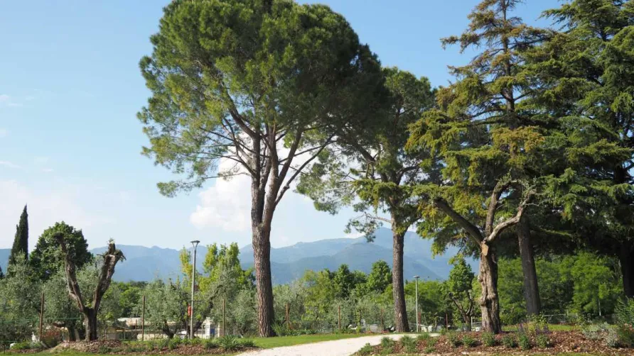 Fornella Camping & Wellness Family Resort