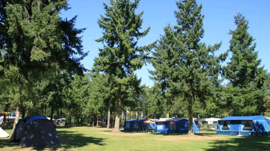 Narvik HomeParc Bergse Zand