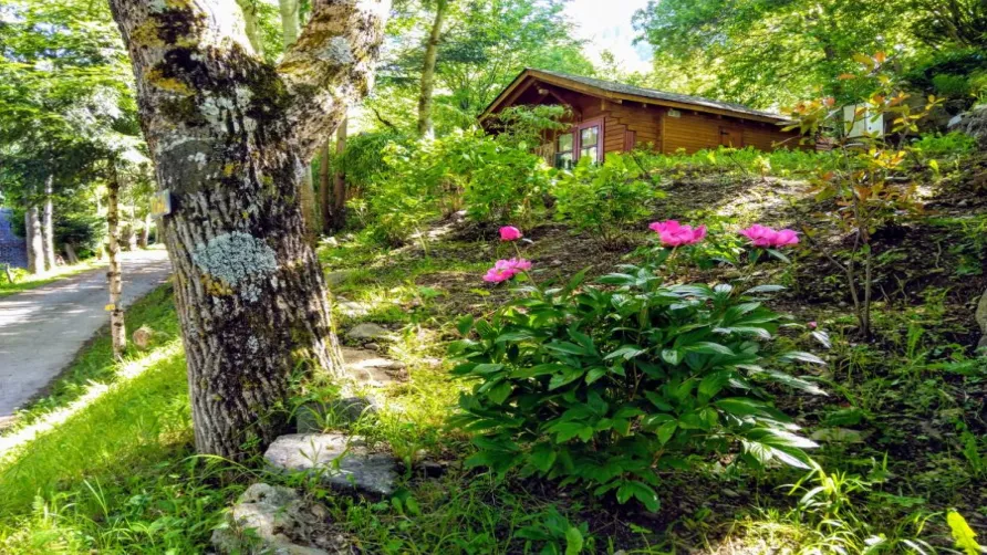 Camping Bedura Park