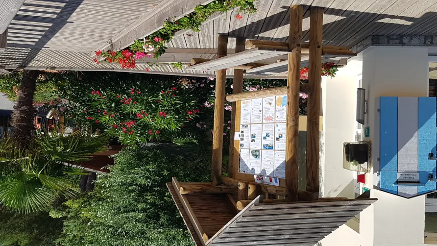 Camping La Clairière