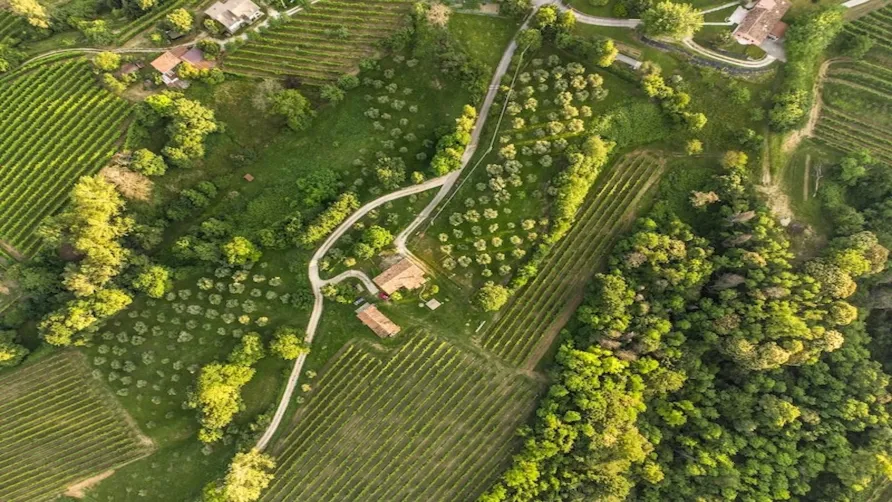 Agricampeggio Bosco di Marino