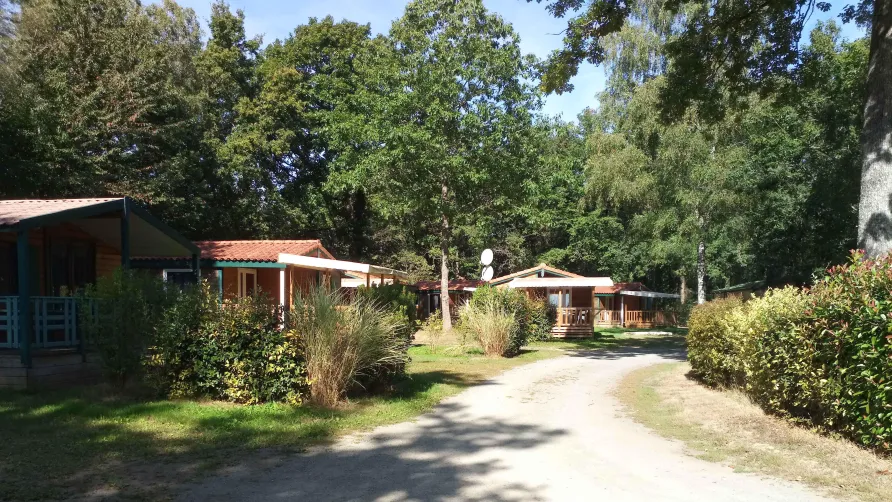 Camping OAKi
