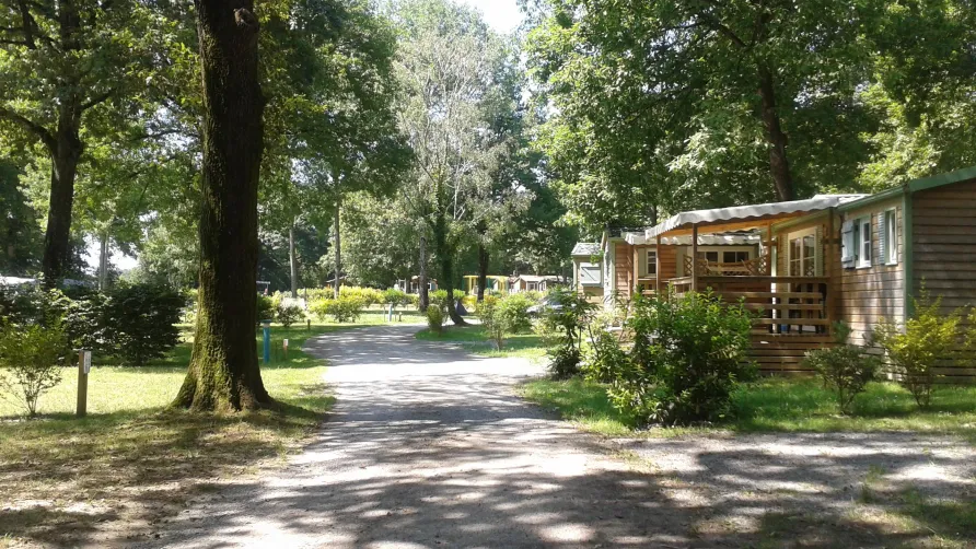 Camping OAKi