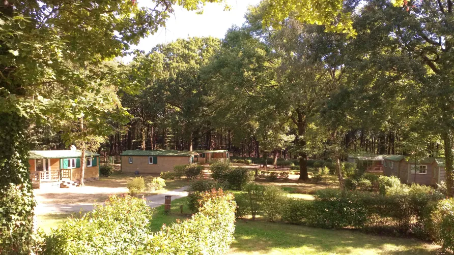 Camping OAKi