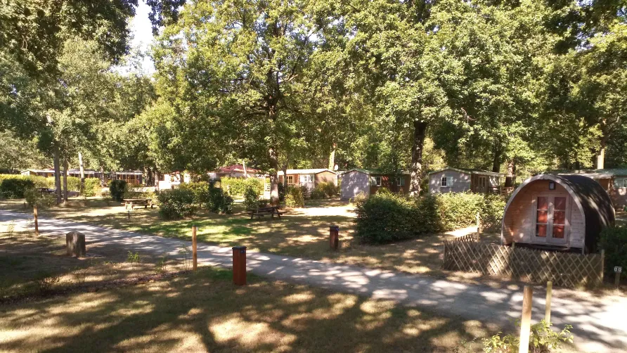 Camping OAKi