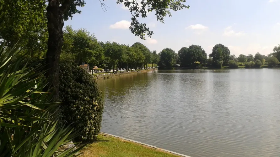 Camping OAKi
