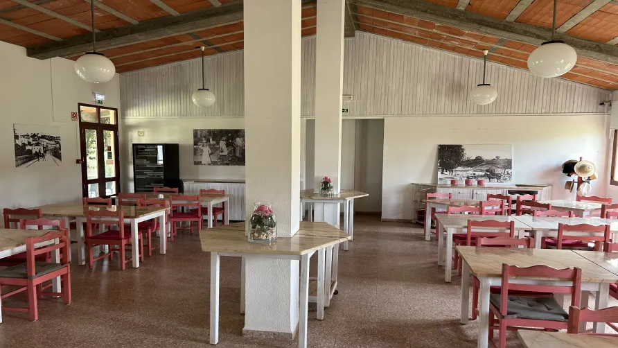 Wecamp Sao Miguel