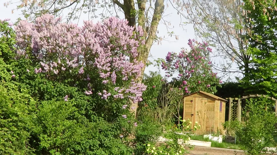 Camping La Papelutte