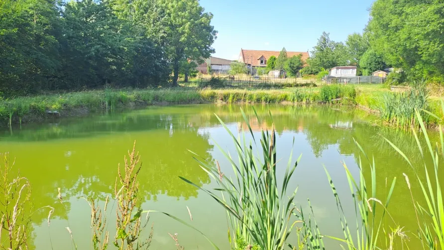 Camping La Papelutte