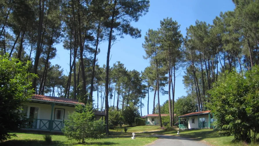 Domaine des Grands Pins