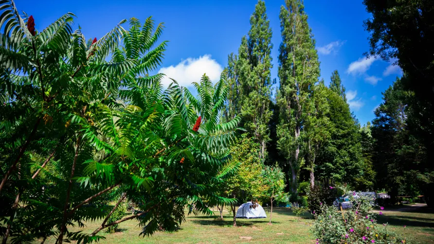 Camping d'Auberoche