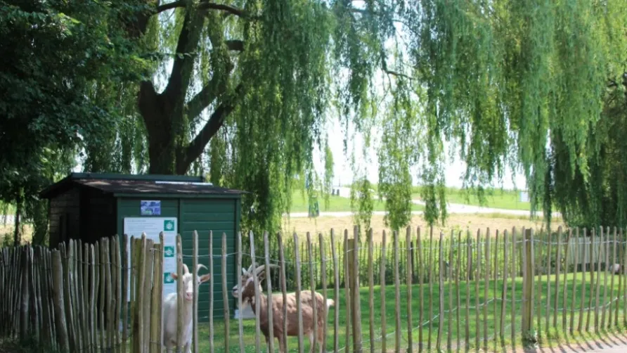 Recreatiepark De Koornmolen