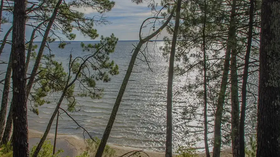Camping Seasonova Le Lac de Cazaux