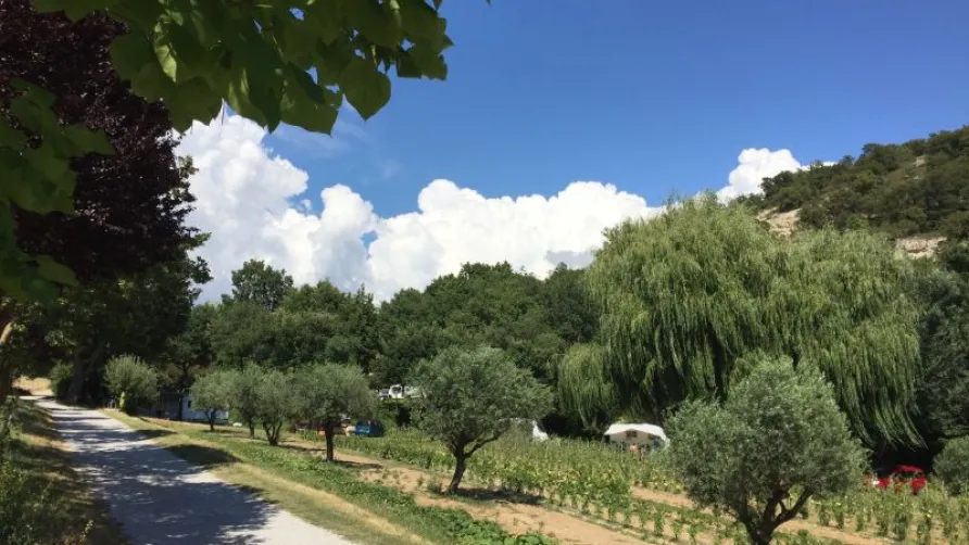 Camping Le Vallon des Oiseaux