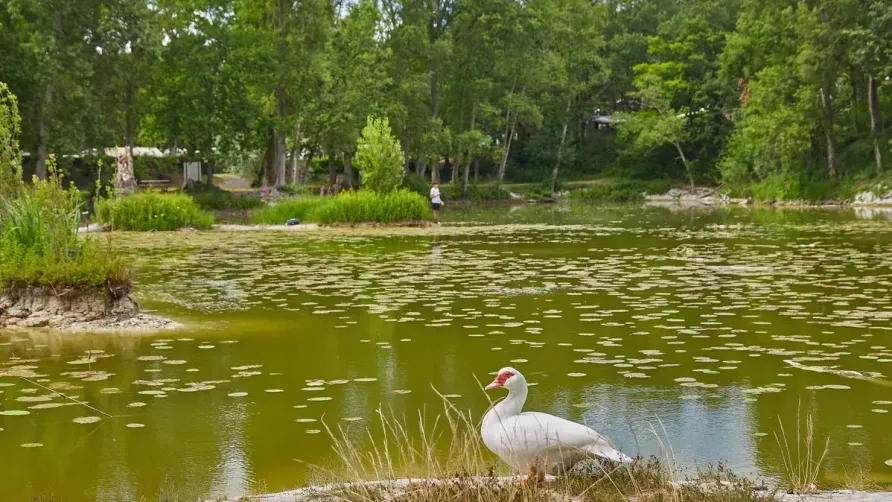 Camping Homair - Le Parc des Allais