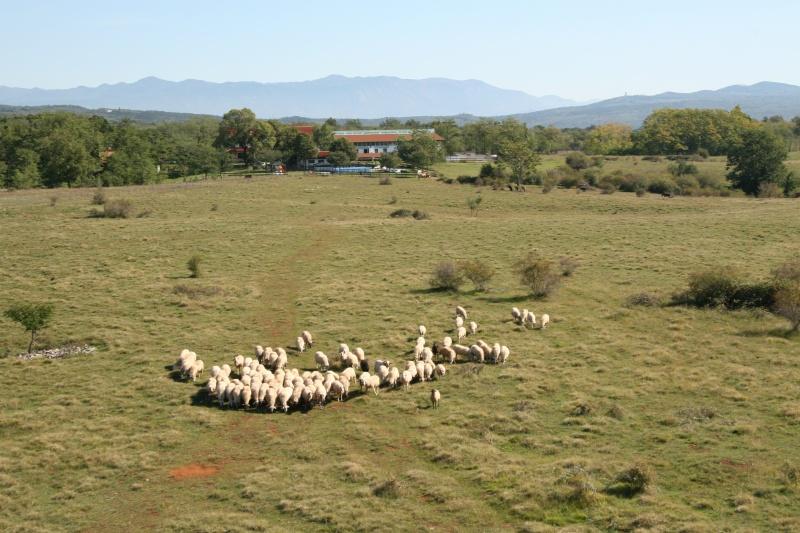 Parco Rurale 'Alture di Polazzo'