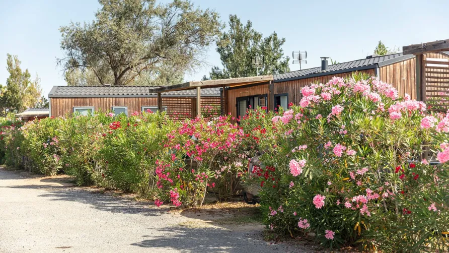 Camping Homair - Les Dunes