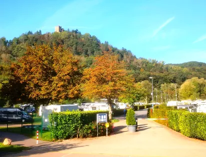 Moselcampingplatz Alf 