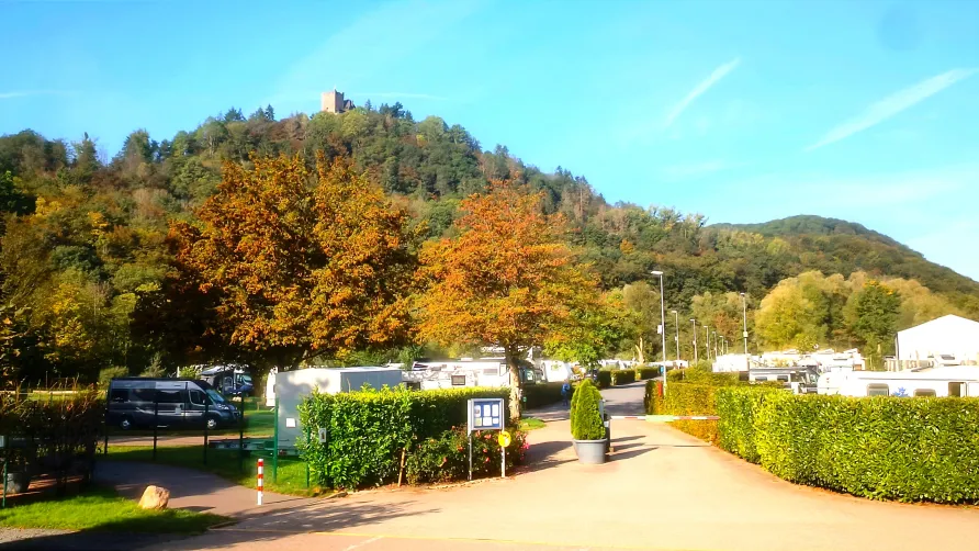 Moselcampingplatz Alf