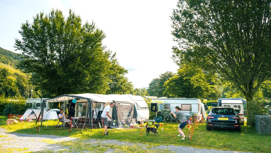 Moselcampingplatz Alf