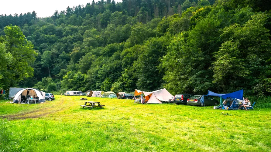 Moselcampingplatz Alf