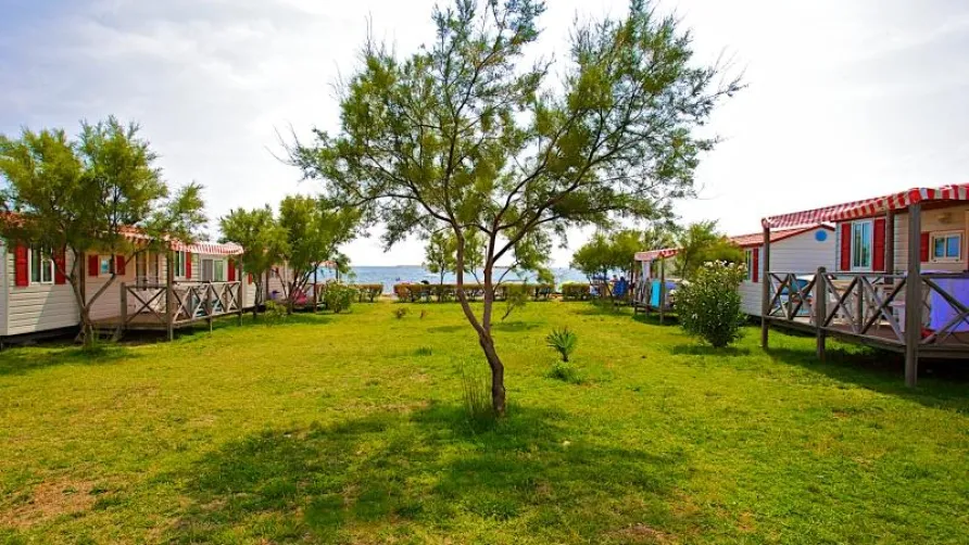 Arena Grand Kazela