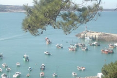 YELLOH! VILLAGE - LES PINS