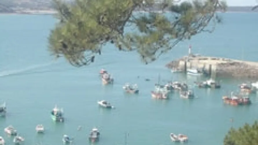 YELLOH! VILLAGE - LES PINS