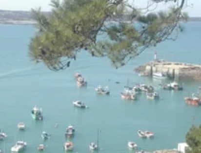 YELLOH! VILLAGE - LES PINS