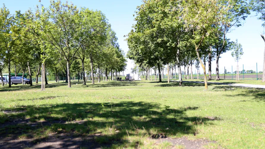 Zicksee Camping