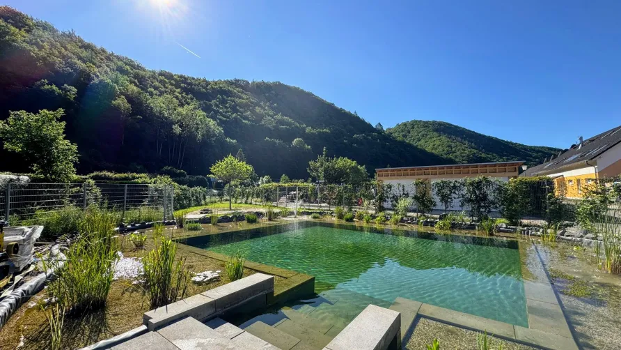 Camping Denntal