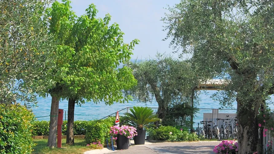 Camping Porto