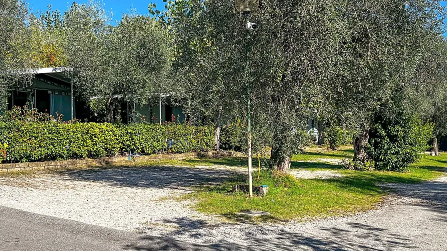 Camping Porto