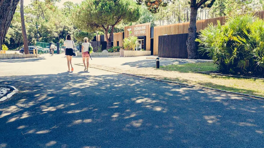 Domaine des Pins