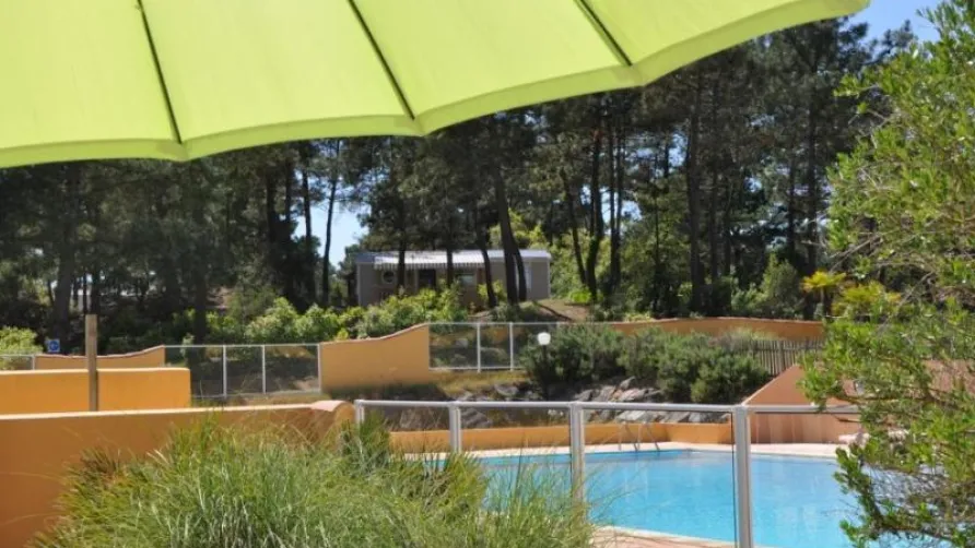 Domaine des Pins