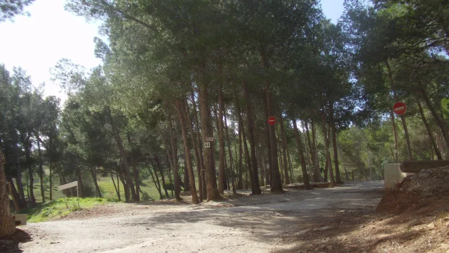 Camping Le Bois de Pins