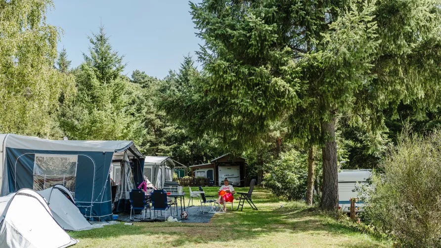 Moselcamping Kröver Berg