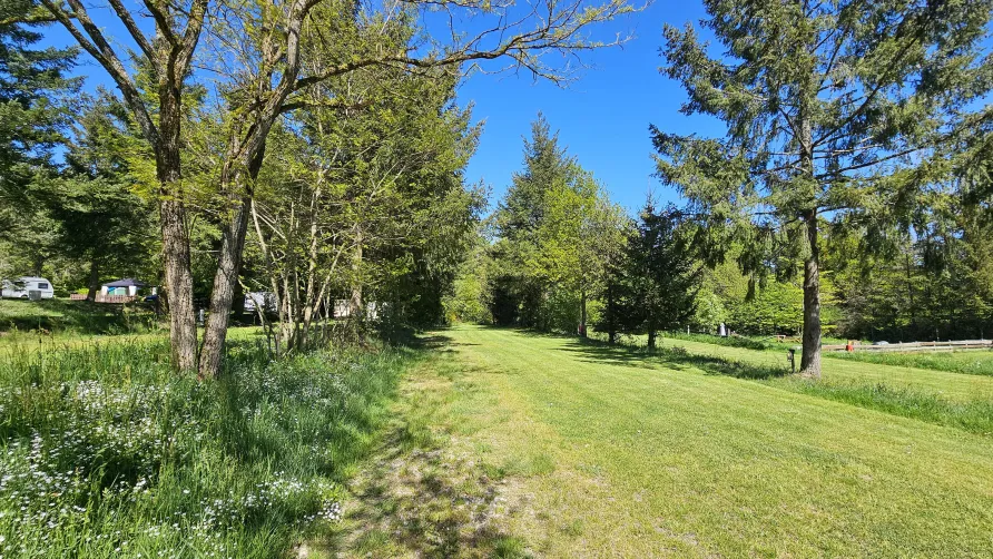 Moselcamping Kröver Berg