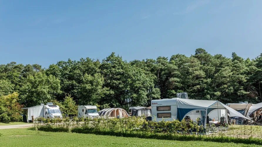 Moselcamping Kröver Berg
