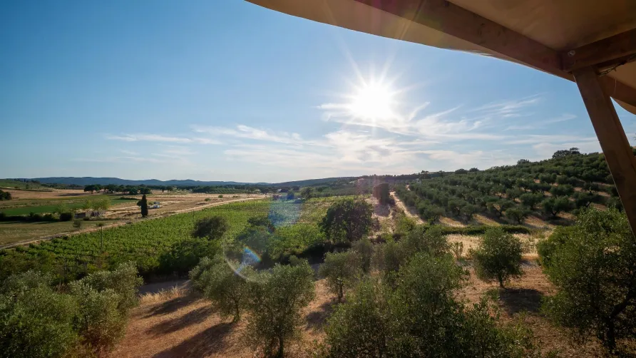 Glamping Podere San Jacopo