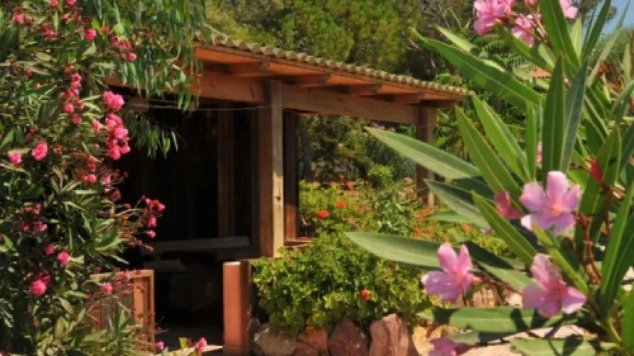 Camping Village Glamping Torre del Porticciolo
