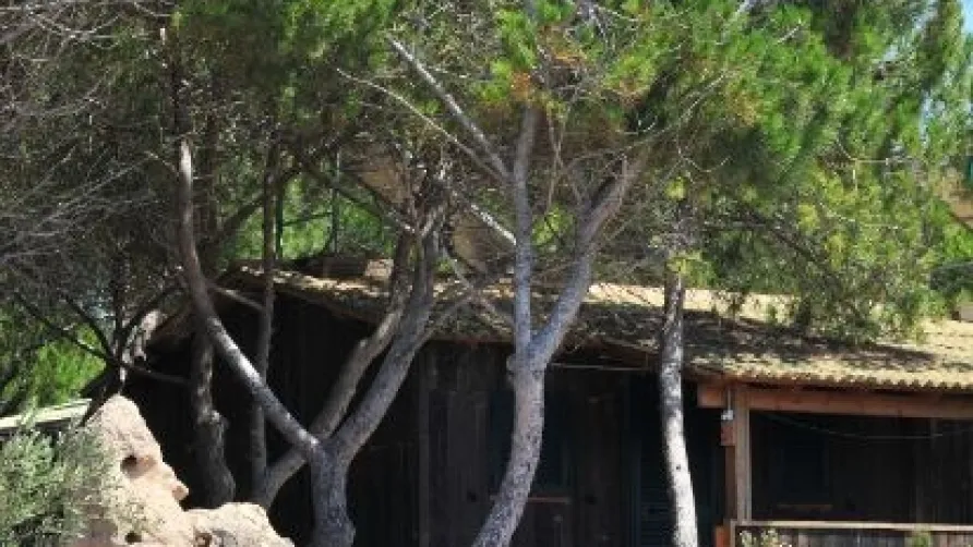 Camping Village Glamping Torre del Porticciolo