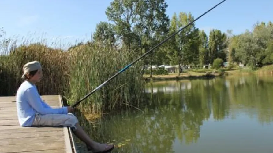 Camping DOMAINE D'INLY