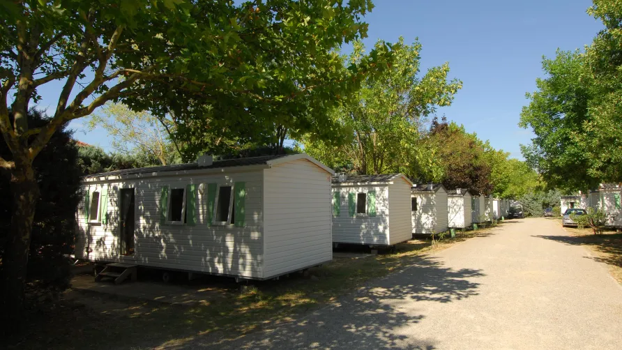 Flower Camping Les Paillotes en Ardèche (Adults Only 16+)