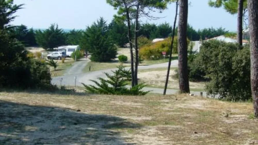 Camping Sandaya La Bosse
