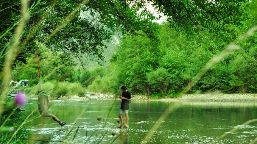 Domaine Chasteuil Verdon Provence