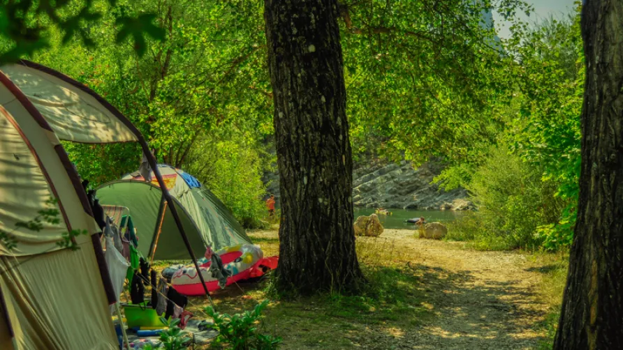 Domaine Chasteuil Verdon Provence
