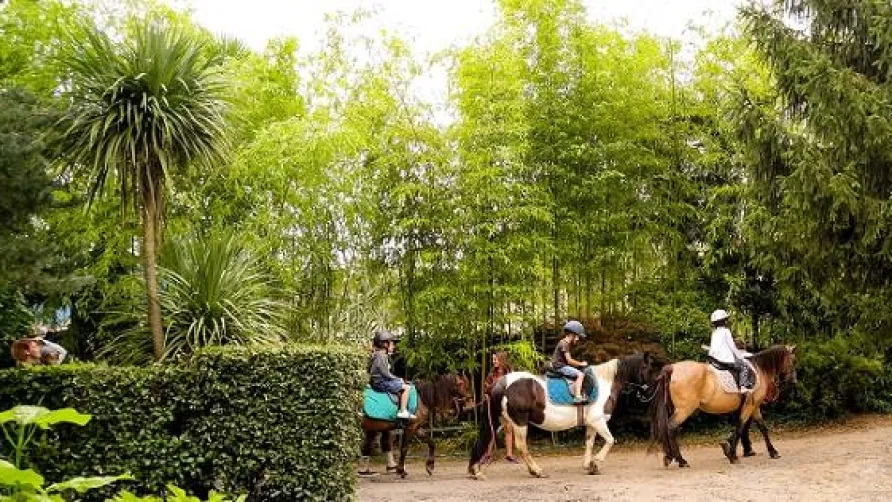 Camping Les Platanes